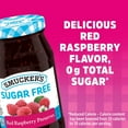 thumbnail image 5 of Smucker's Sugar Free Red Raspberry Preserves, 12.75 oz, 5 of 12