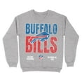 thumbnail image 1 of NFL Buffalo Bills AFC East Champs Sport-Grey Large Crew Fleece, 1 of 4