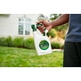 thumbnail image 5 of Scotts EZ Feed Plus Greening Power, Liquid Fertilizer for All Grass Types, 32 fl. oz., 5 of 9