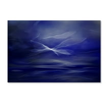 Trademark Fine Art 'Flight Of The Fairies' Canvas Art by Willy Marthinussen
