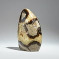 thumbnail image 2 of Polished Septarian Freeform from Madagascar (1.85 lbs), 2 of 5