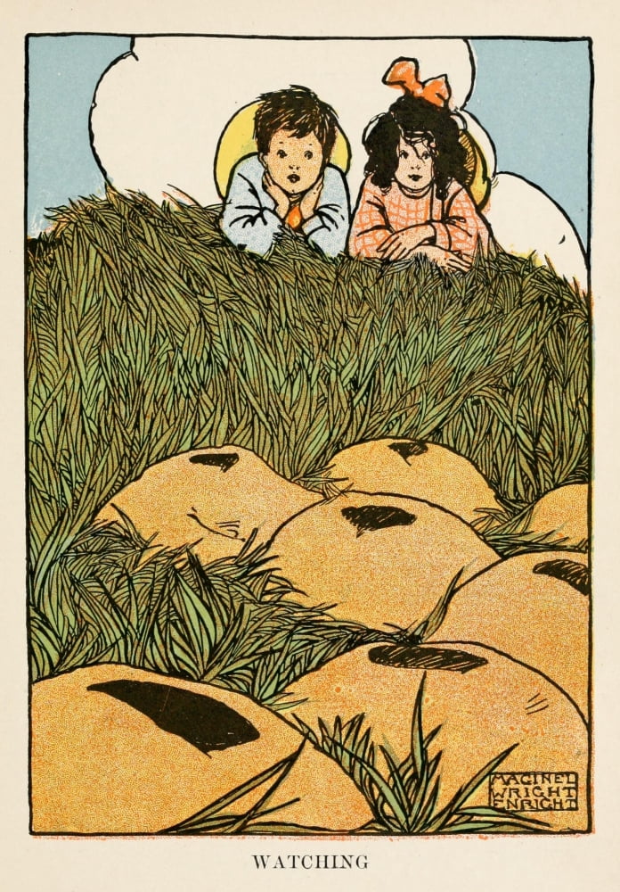 Prairie-dog Town 19