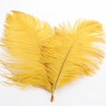 thumbnail image 2 of About 32 Cm Colorful Feathers - Ideal for Wedding Decoration, Flower Arrangement, Stage and Clothing Decoration, 2 of 2