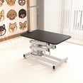 thumbnail image 3 of Demi Bonn 42" Pet Grooming Table for Dogs, Adjustable Heavy Type Hydraulic Grooming Table with Adjustable Arm, Black, 3 of 11
