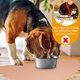 thumbnail image 4 of Estera de alimentación de silicona para mascotas, mantel individual para perros y gatos, esteras impermeables antideslizantes para cuencos para mascotas, 4 of 6