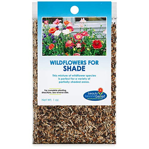 Partial Shade Wildflower Seeds Bulk - Open-Pollinated Wildflower Seed ...