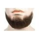 Perruques Lacey LW420BK 5 Points Cheveux Humains Goaee Moustache à la Main&44; Noir – image 1 sur 1