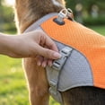 thumbnail image 4 of Dog Cooling Vest Dog Harness Cooler Jacket Adjustable Summer Clothing, for Walking Dog, Outdoor Camping and Hunting Training,Orange,L, 4 of 6