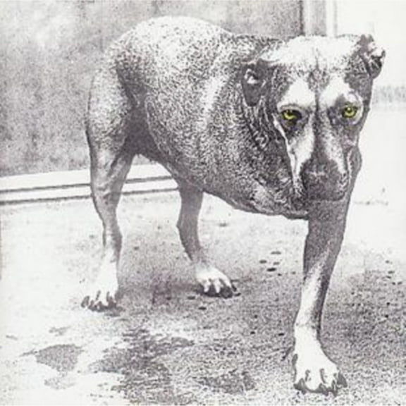 ALICE IN CHAINS (EUROPEAN IMPORT)