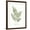 Brown Frame, variant on Art.com Vintage Ferns IX no Border White Art Print by Wild Apple Portfolio, White Frame Wall Art, 23" x 29"