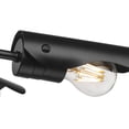 thumbnail image 6 of Wry Lighting Newton 6-light Semi-Flush Mount in Matte Black, 6 of 10