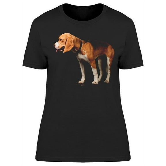 Dog, Beagle Standing T-Shirt Women -Image by Shutterstock, Female Large