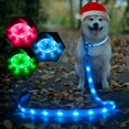 thumbnail image 1 of Correa LED para perro Weesiber con luz brillante, recargable por USB, 1 of 8