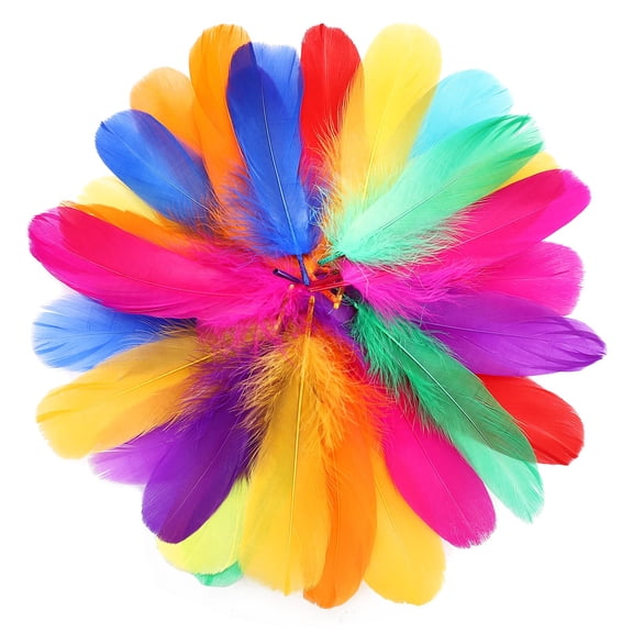 200 Pieces Colorful Feathers for Craft Wedding Home Party Decorations, 3-5.9in Natural Feathers Colorful Craft Feather for DIY Crafts, Wedding Home Party Decorations, Dream Catcher Supplies