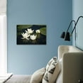 thumbnail image 3 of Fragrant Water Lily Nymphaea Odorata Flowers on Lake Skadar, Lake Skadar Np, Montenegro, May 2008, Botanical Scenic Stretched Canvas Wall Art by Radisics Sold by ArtCom, 3 of 5
