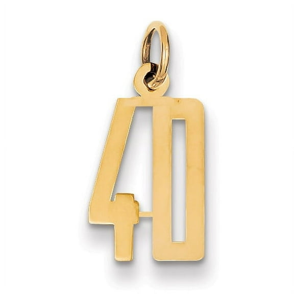 14K Yellow Gold Polished Finish Small Size Elongated Shape Number 40 Charm Pendant
