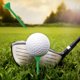 thumbnail image 5 of 10PCS Golfs Glass Type Non Limiting Nails Plastic Holders Low Resistance Accessories Non Limiting, 5 of 6