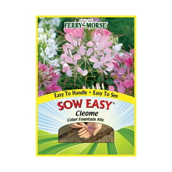 Ferry-Morse Sow Easy Cleome Color Fountain Mix Perennial Flower  (1 Pack)- Seed Gardening/Full Sun
