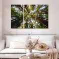 thumbnail image 2 of Elephant Stock Muir Wood California Redwoods Wall Art - Horizontal Multi Panel Canvas - Living Room Wall Decor - Floral And Botanical Multi Panel - Gray And Beige Decor - 50" x 32", 2 of 4