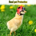 thumbnail image 4 of 2 piezas casco de pollo casco de seguridad para mascotas divertido loro casco pollo pájaro sombrero ropa para la cabeza, 4 of 5