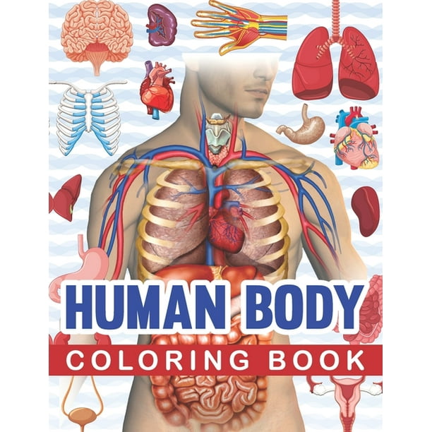 Download Human Body Coloring Book Human Body Human Anatomy Coloring Book For Kids Human Body Anatomy Coloring