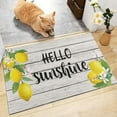 thumbnail image 3 of Zoeeya Hello Sunshine Welcome Mat Hello Sunshine Doormat Lemon Door Mat Outdoor Lemon Welcome Mat Spring Door Mat Summer Doormat 30"x17", 3 of 6