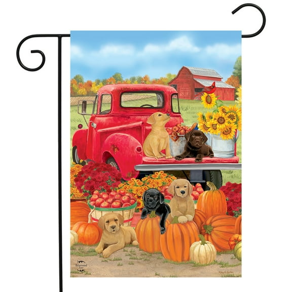Briarwood Lane Fall Puppies Garden Flag