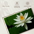 thumbnail image 6 of Elephant Stock White Lotus Flower Wall Art - Horizontal Canvas Wall Art - Living Room Wall Decor - Floral And Botanical Canvas - Green And Black Decor - 51" x 34", 6 of 8