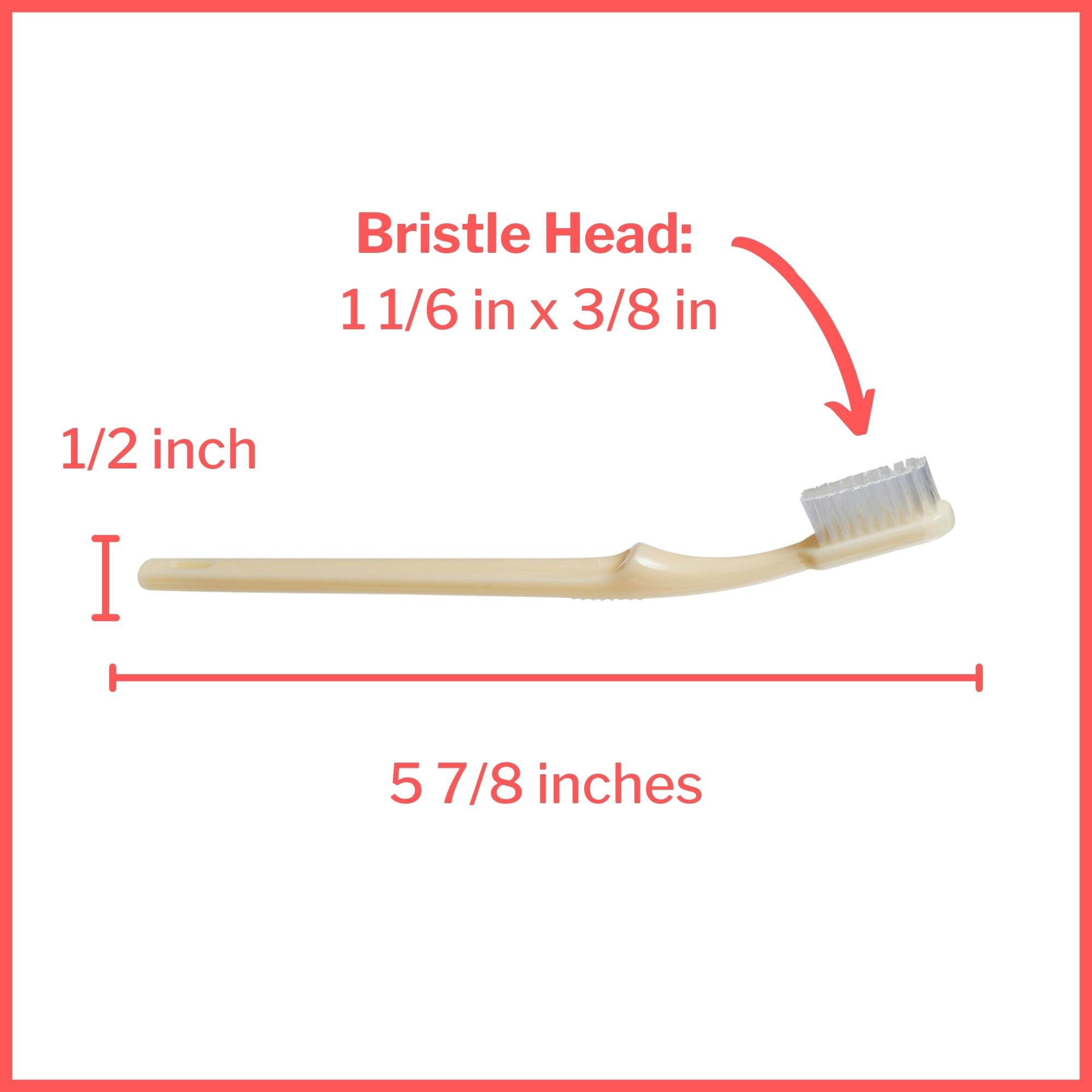 McKesson Toothbrush, Medium Bristles for Dental Hygiene, Ivory, 144 Count, 1 Pack