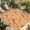 Light Yellow Pumpkin Orange, variant on Autumn Maple Leaves Outdoor Rug for Patio/Deck/Porch, Non-Slip Large Area Rug 3 x 5 Ft, Vintage Orange Falling Leaf Plants Indoor Outdoor Rugs Washable Area Rugs, Reversible Camping Rug Carpet Runner