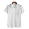thumbnail image 2 of Timoontee Men's Short Sleeve Basic T Shirt Breathable Fabric Moisture Wicking Lapel Collar V Neck High Quality Quick Dry White XL, 2 of 7