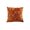 Brown, variant on Orangide Fall Harvest Pumpkin Pillow Covers Decorative Throw Cushion Case for Sofa Couch Bedroom Autumn Thanksgiving Home Decor