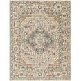 thumbnail image 3 of Mark&Day Washable Rugs, 5x7 Ellinwood Traditional Burnt Orange Area Rug, Orange Blue Beige Carpet for Living Room, Bedroom or Kitchen (5'3" x 7', Machine Washable), 3 of 8