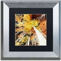 Trademark Fine Art "Damn Nation" Canvas Art by Philippe Sainte-Laudy Black Matte, Silver Frame