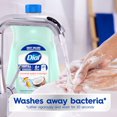 thumbnail image 2 of Dial Antibacterial Liquid Hand Soap, Coconut Water & Mango, 1.53 L, 2 of 7