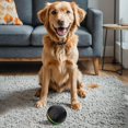 thumbnail image 1 of LLQkigsxse Jouet Interactif pour Chien à l'Épreuve des Mâchouillements, Jouet de Noël Automatique pour Chat, Jouet Interactif pour Chien Auto-Roulant, Jouet Intelligent à Distance pour Intérieur et Extérieur, 1 of 3