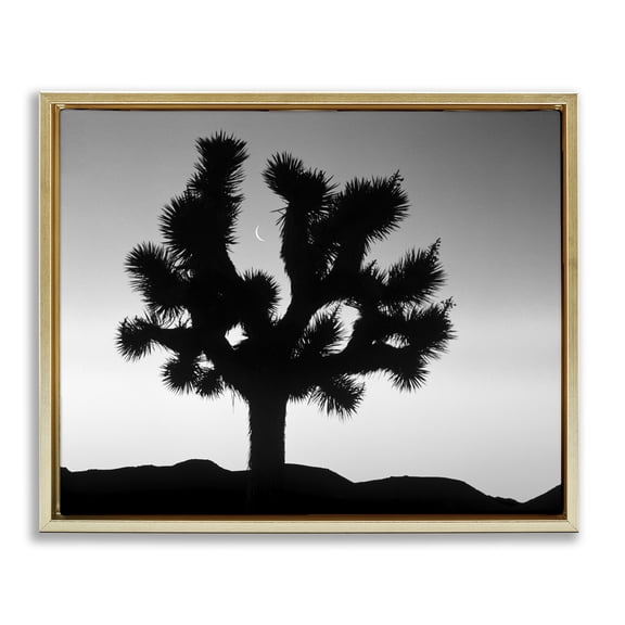 Stupell Industries Rustic Lodge Monochrome Moonlit Desert Tree Gold Floating Frame Canvas Art, 31 x 25, by Dennis Frates