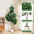 thumbnail image 2 of 6-foot artificial fiddle leaf fig tree con 108 leaves y blanca planter pot - ideal para para home, oficina, sala de estar decor & housewarming gift, 2 of 8