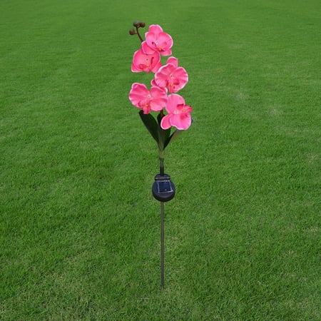 

LED Lamp Solar Of 5 Head Solar Head Outdoor Decorative Orchid 5 LED light Large Christmas Star Lights for Windows
