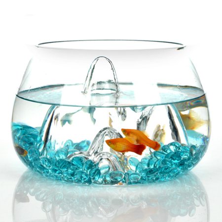 Bubble Bowl Clear Glass Vase Fish Tank Beta Goldfish Aquarium Bowl