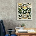 thumbnail image 3 of Epic Graffiti'Papillons 2' by Susan Ball, Giclee Canvas Wall Art, 26"x30", 3 of 8