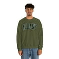 thumbnail image 5 of Albany Sweatshirt Gifts Crew Neck Shirt Long Sleeve Unisex, 5 of 7