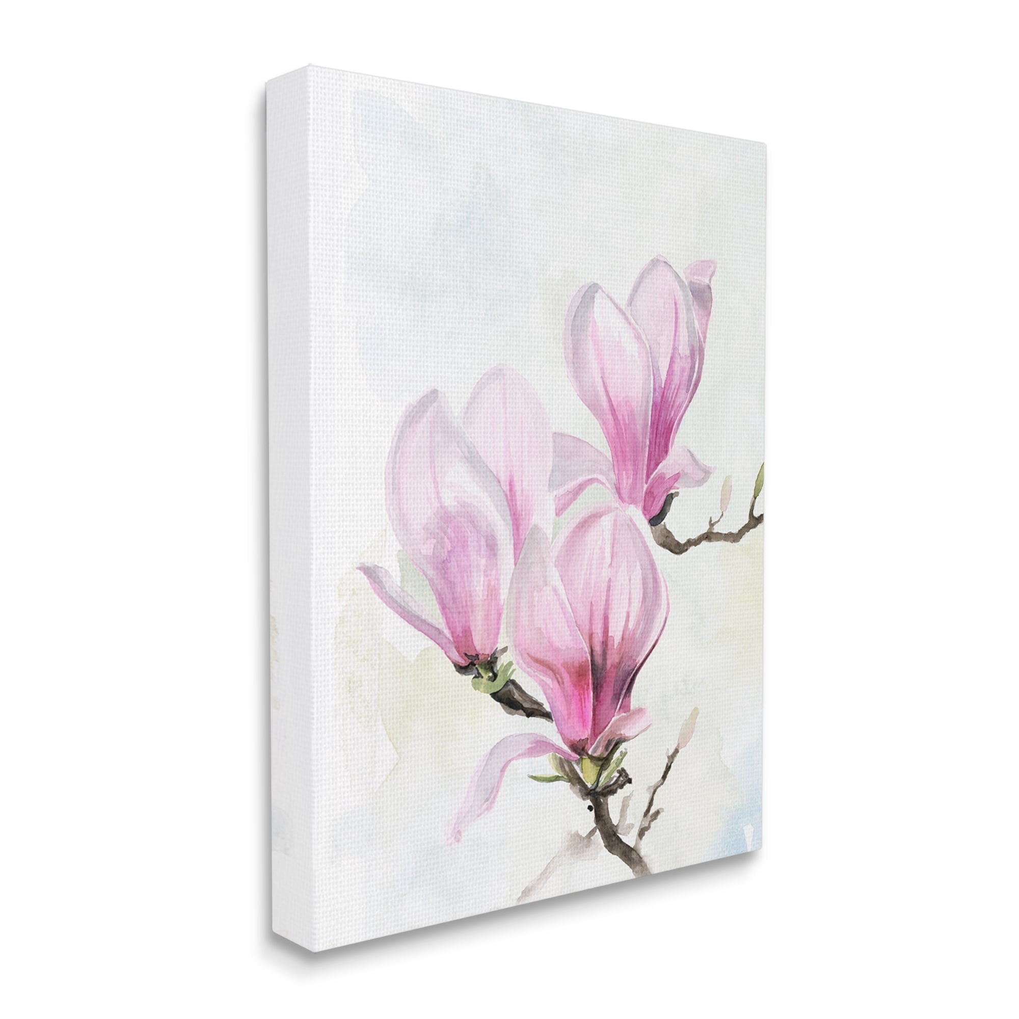 Stupell Industries Soft Pink Magnolia Blossoms Watercolor Floral Painting, 24 x 30,Design by Jennifer Paxton Parker