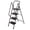 4, variant on Alvantor 4 Step Ladder with Handrails, Portable Steel Folding Stool with Wide Anti-Slip Pedal Black