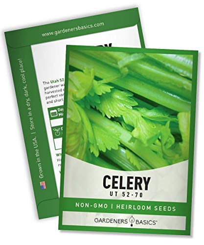 King Seeds Celery Golden Blanching Seeds Pack Approx 1000 Fruit Vegetable Herb