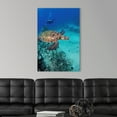 thumbnail image 3 of Great BIG Canvas Photography Tropical, 3 of 7