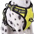 thumbnail image 3 of No-pull Dog Harness Padded Adjustable Pet Vest Harness For Large Dogs Training Or Walking, 3 of 5