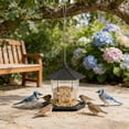 thumbnail image 6 of Tuvgenk Squirrel Proof Wild Bird Feeders Outdoor Hanging Platform Bird Feeder Black Hopper Decorative Plastic Garden 9x9x8 inch, 6 of 6