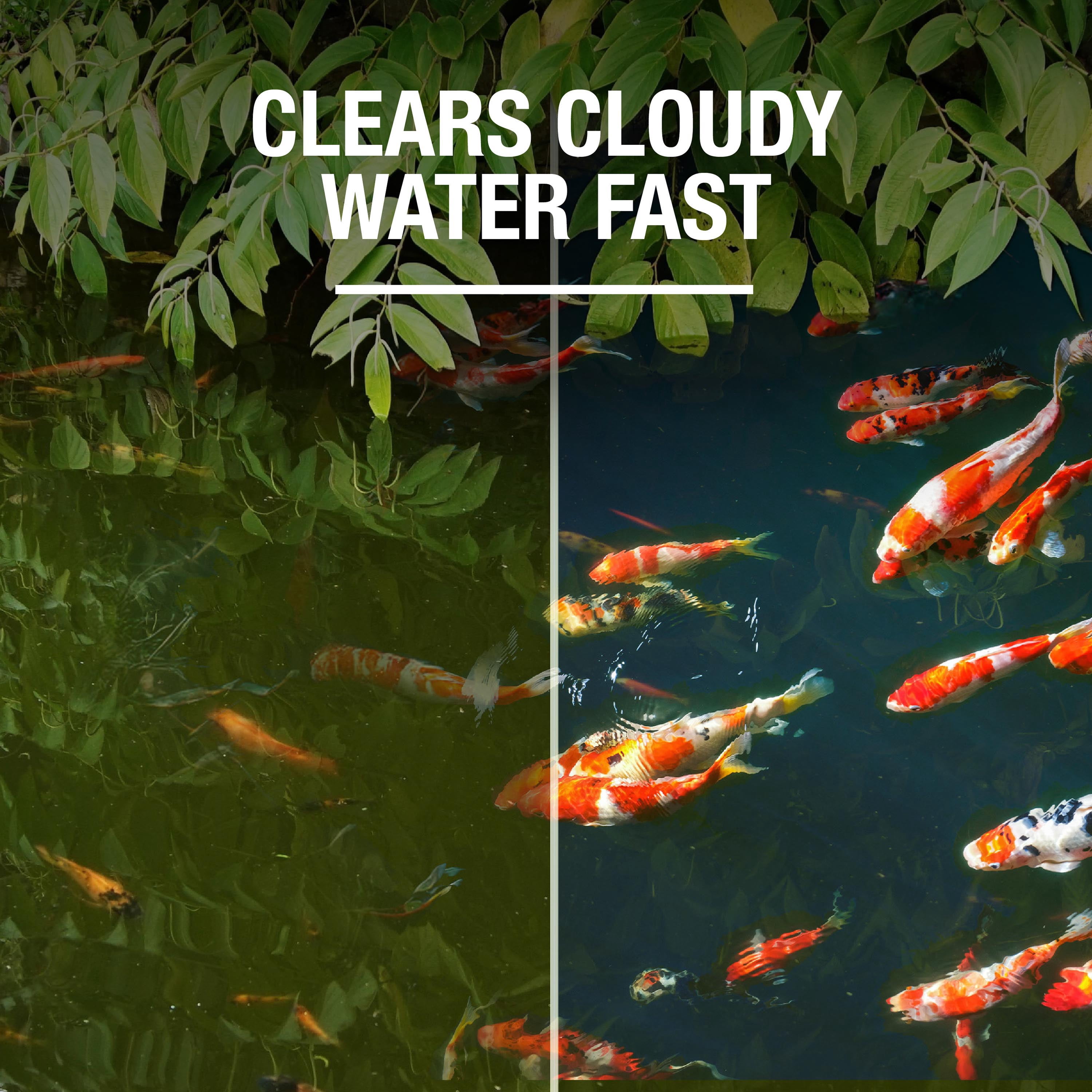 (3 pack) Tetra Pond Water Clear Clarifier, Safe for Ornamental Pond Fish and Plants, 8 oz