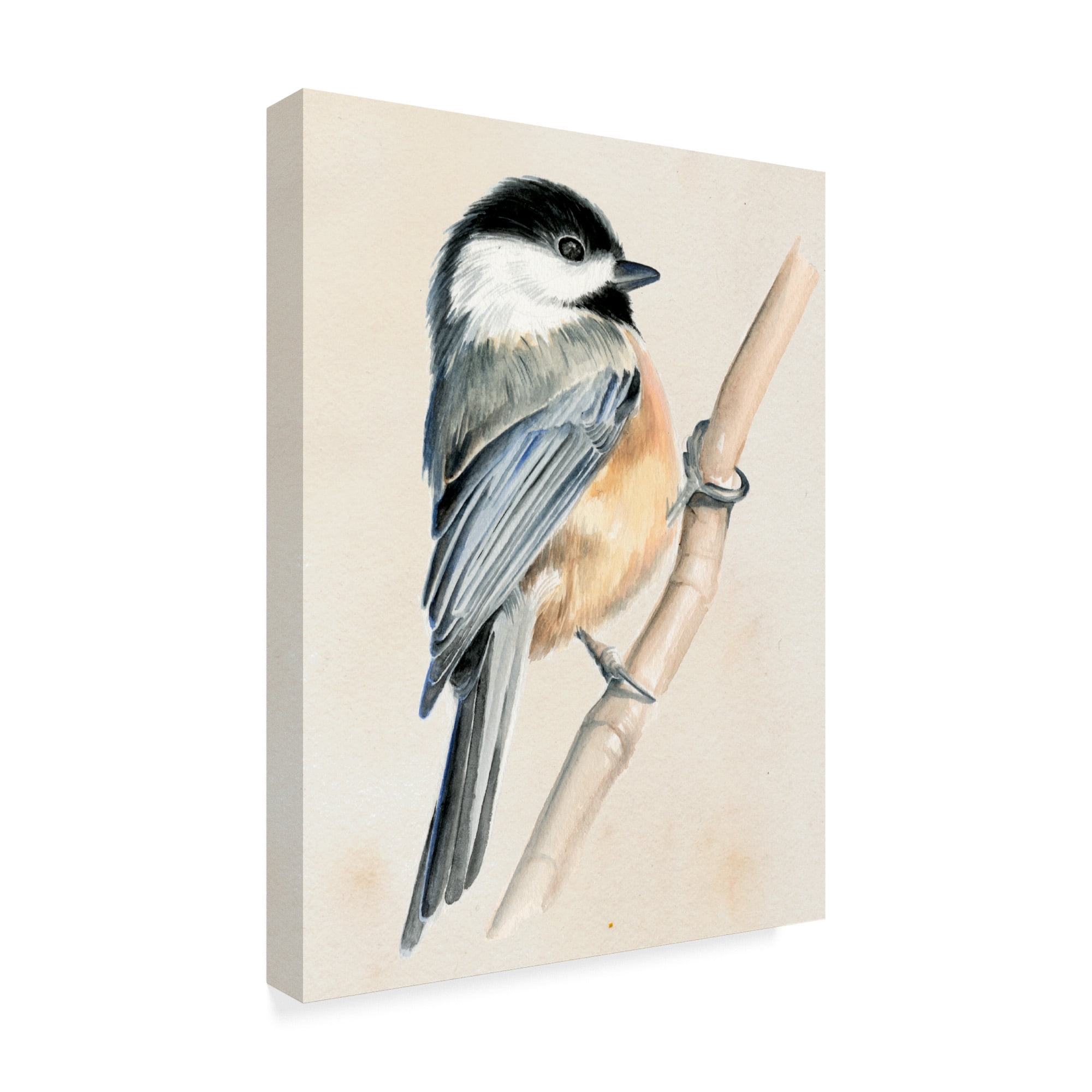 Trademark Fine Art 'Little Bird on Branch II' Canvas Art by Jennifer Paxton Parker